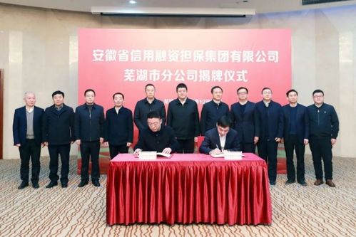 省信用融資擔(dān)保集團(tuán)蕪湖市分公司揭牌